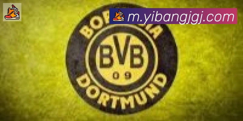 开云kaiyun网页版官网合作伙伴