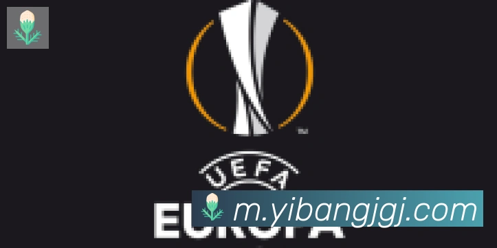 开云kaiyun网页版官网合作伙伴