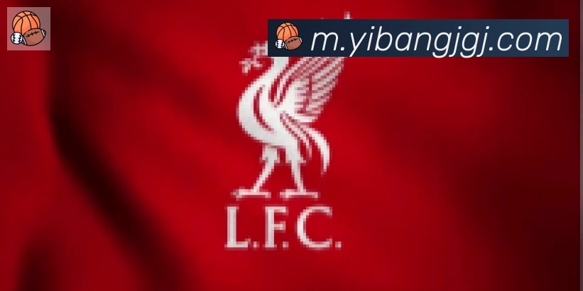 开云kaiyun网页版官网合作伙伴